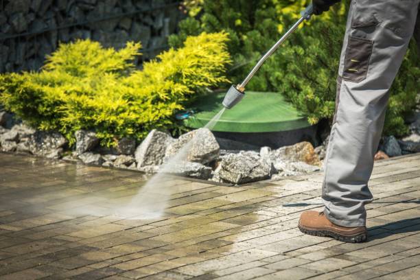 Best Sign and Awning Cleaning  in Palermo, CA
